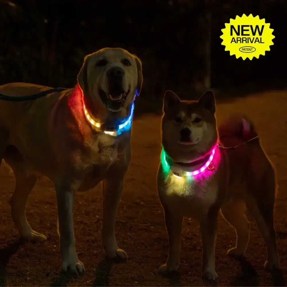 Starry Night Moonlight UNIPATS