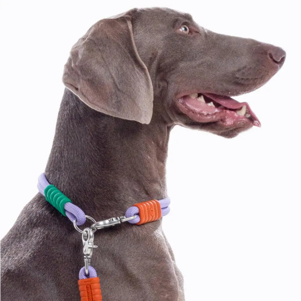 Marshmallow Classic Collar UNIPATS