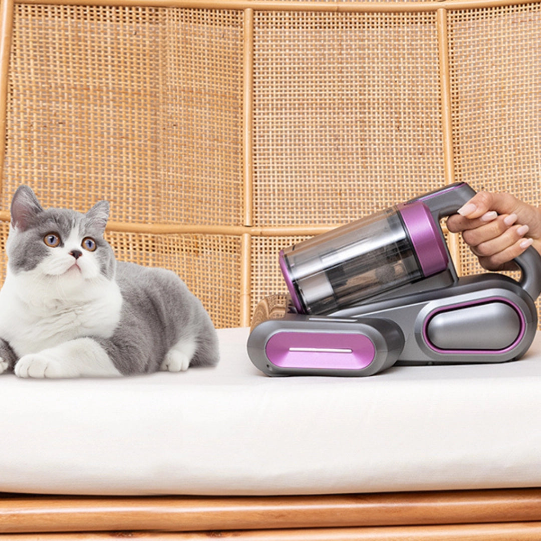 Safe vacuum for homes with pets like cats and dogs