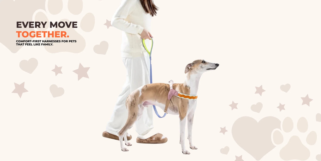 Dog wearing a no-pull comfort harness standing next to owner, perfect for walks and training