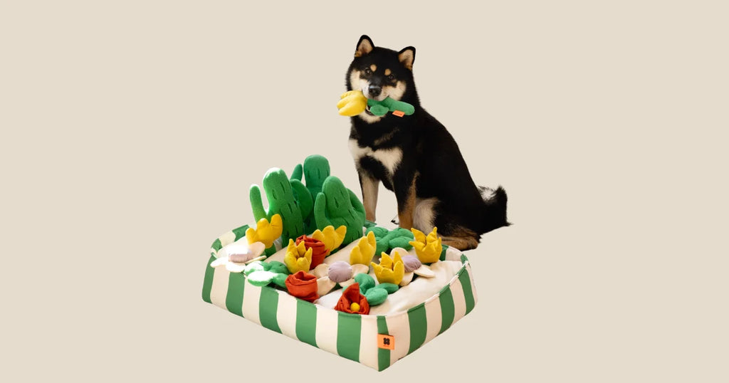 Shiba Inu playing with interactive snuffle mat toy for scent training and boredom relief.