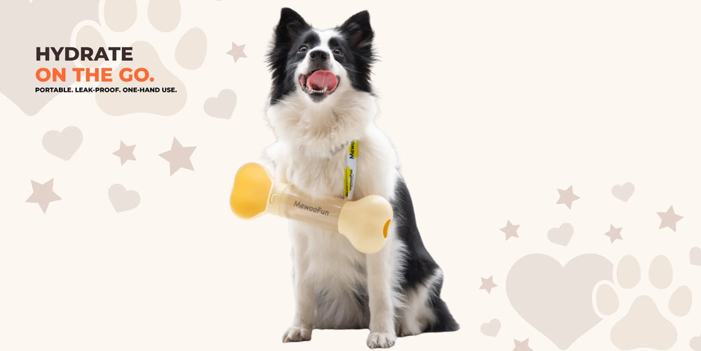 Dog with portable travel water bottle for hikes and daily walks – leak-proof and easy to carry