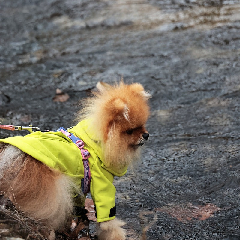 Softshell Jacket