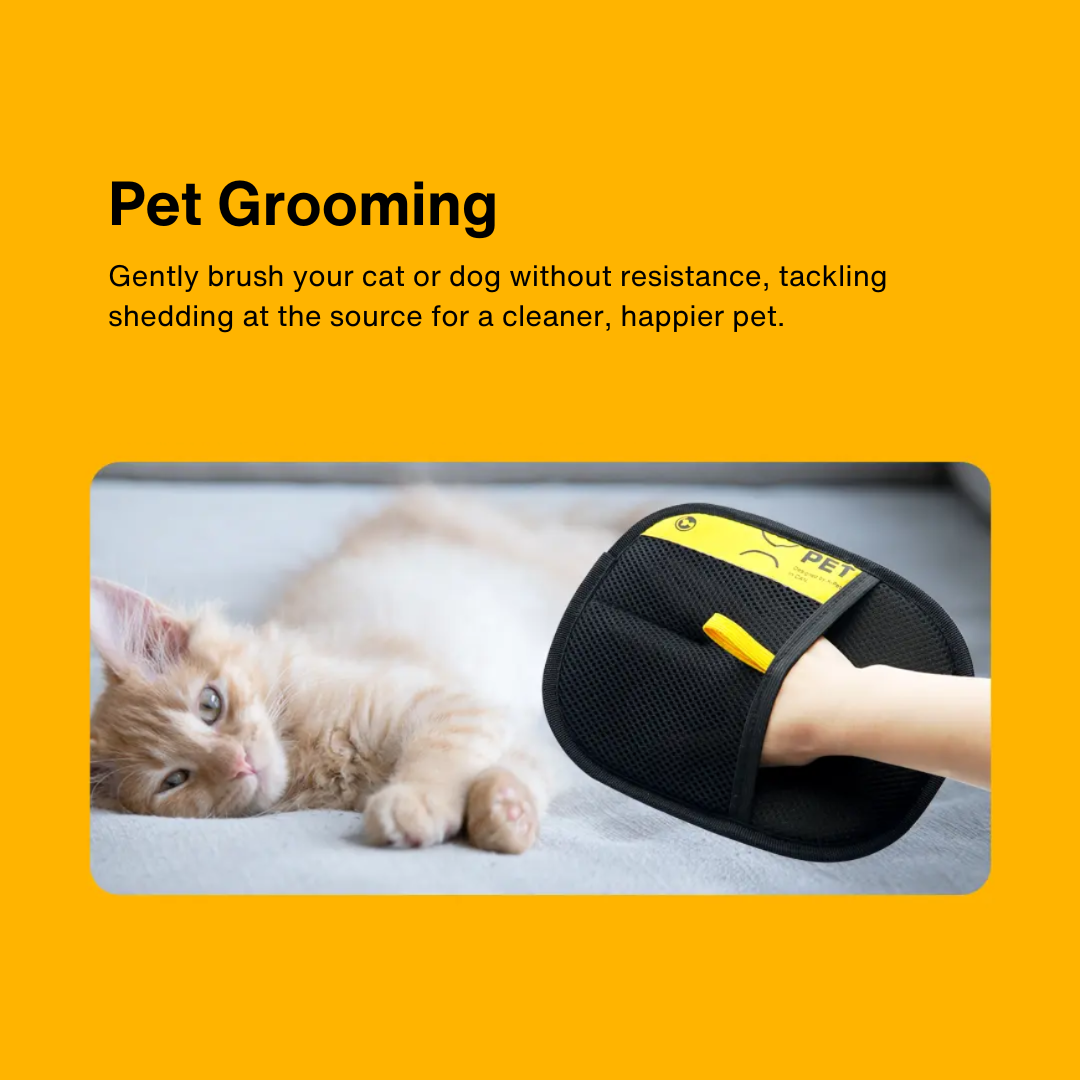 Pet grooming glove gently brushing a relaxed kitten on a bed for fur removal.