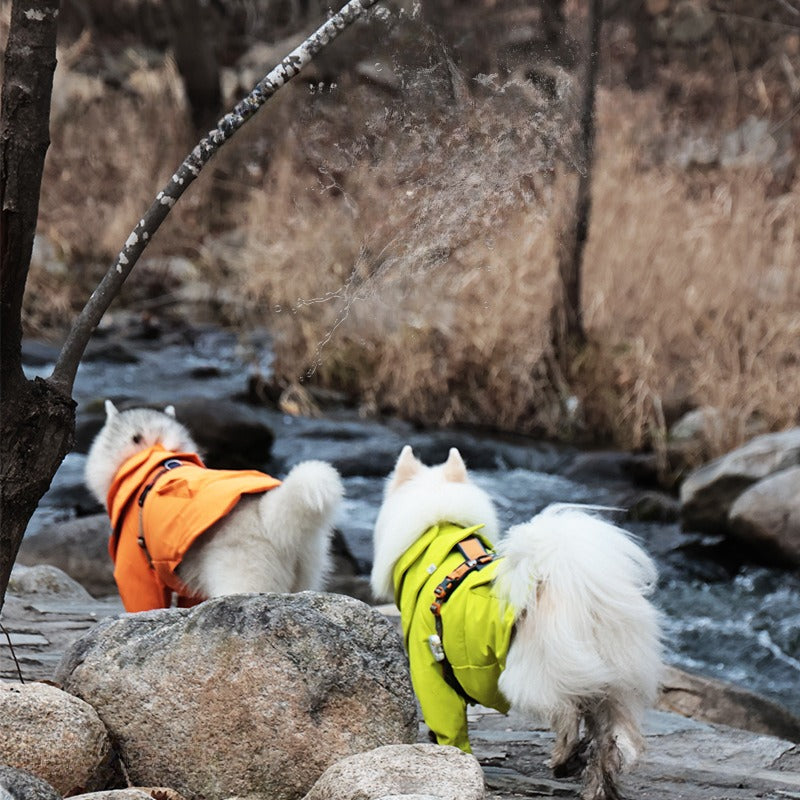 Softshell Jacket