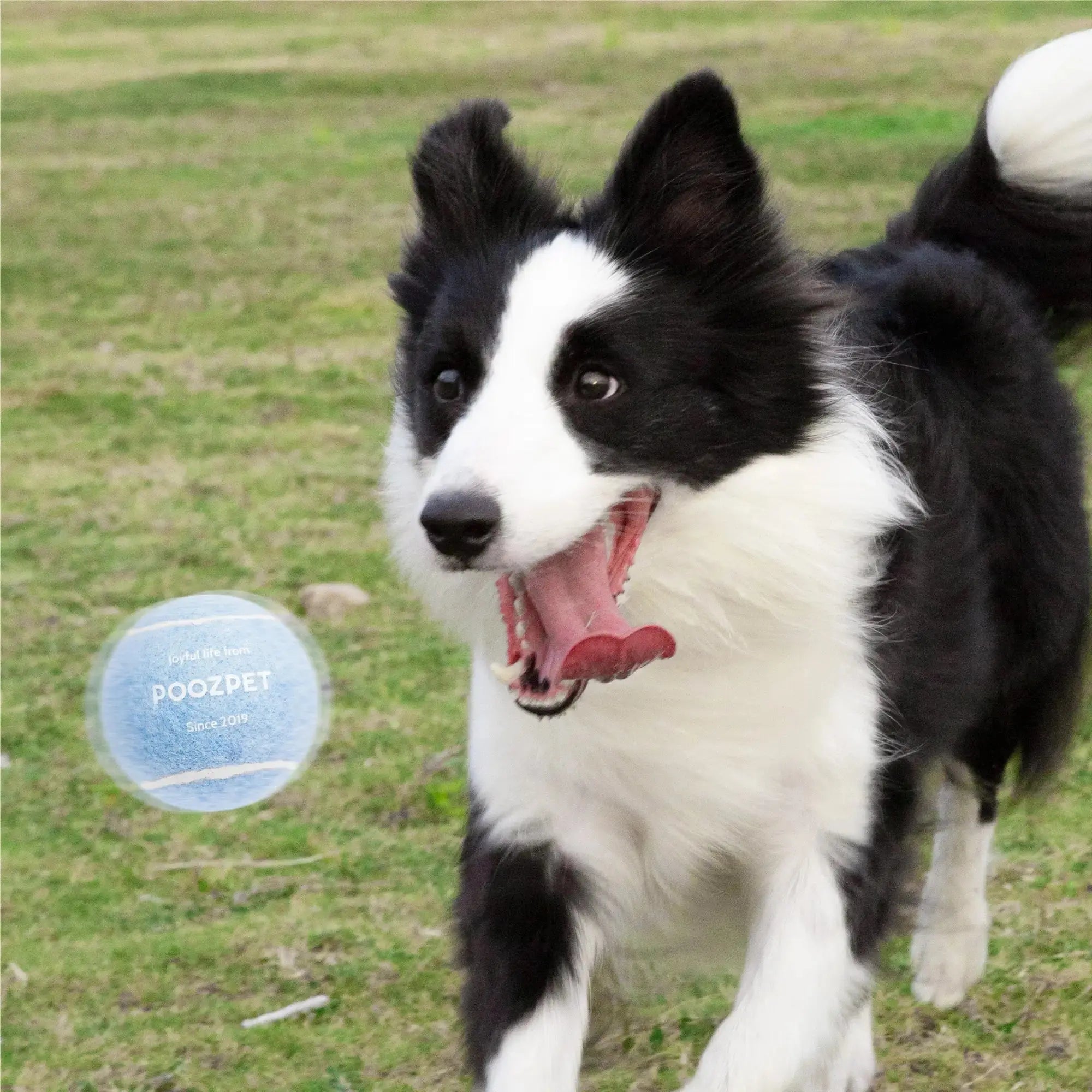 Tennis Ball UNIPATS