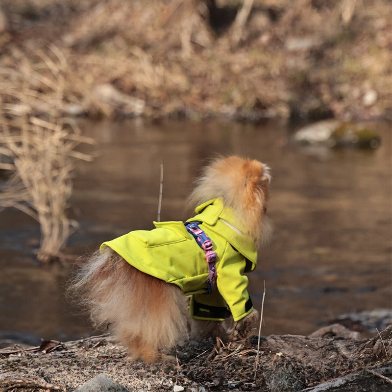 Softshell Jacket