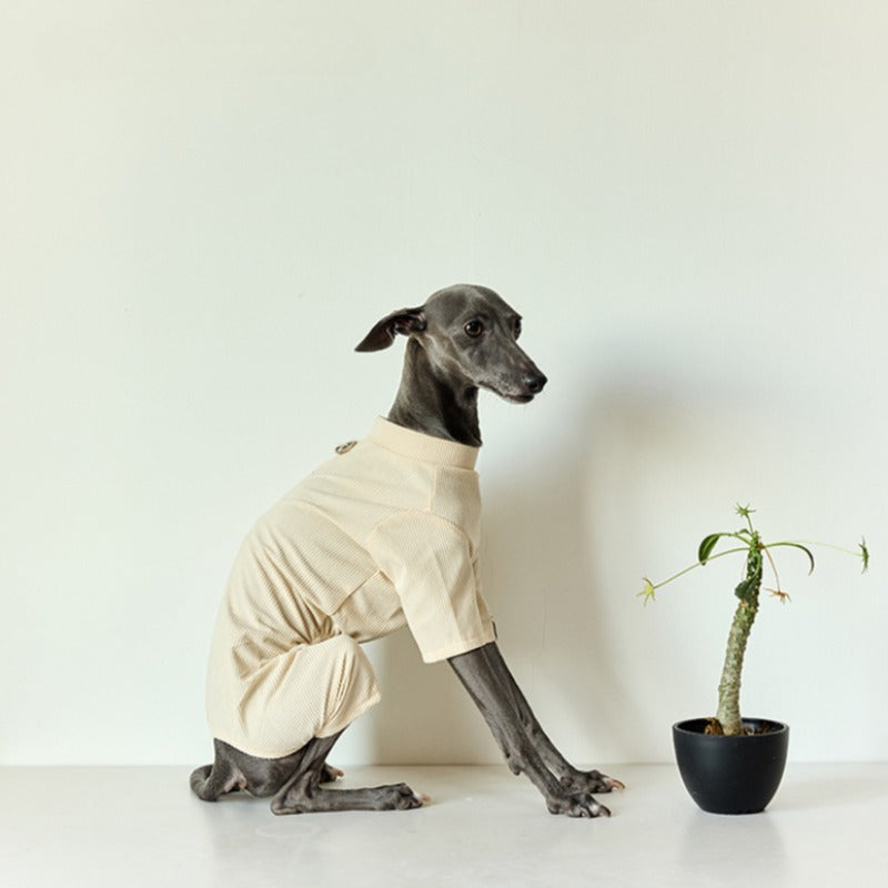 Elegant Plaid Four-Legged Outfit