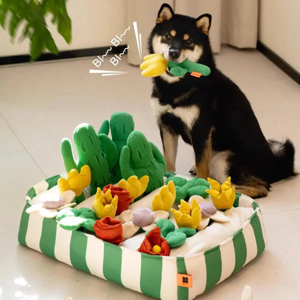 Garden Pet Snuffle Mat - UNIPATS