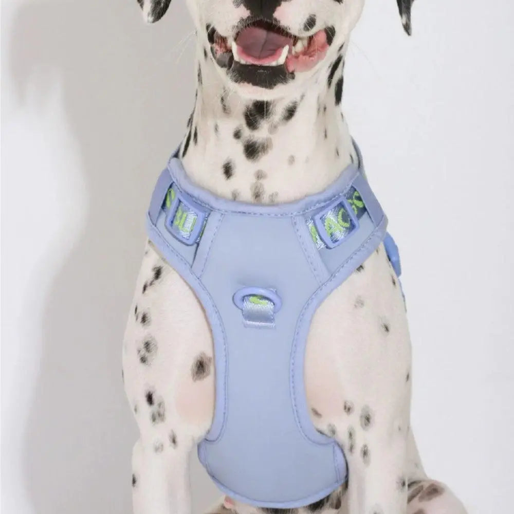 UNIPATS leash dog vest with adjustable walking chest harness for small, medium, and large dogs, explosion-proof and durable