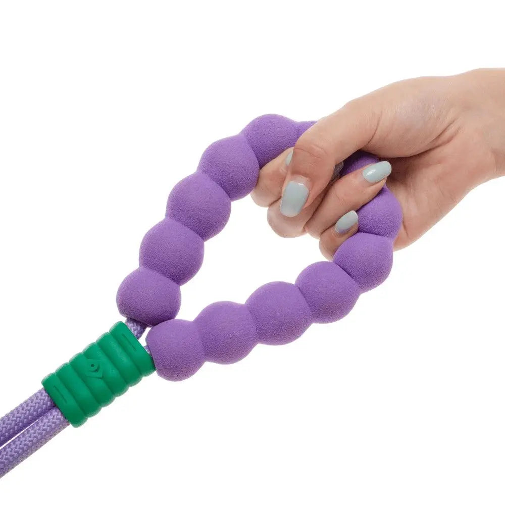 #Color_Grape Purple Leash Set