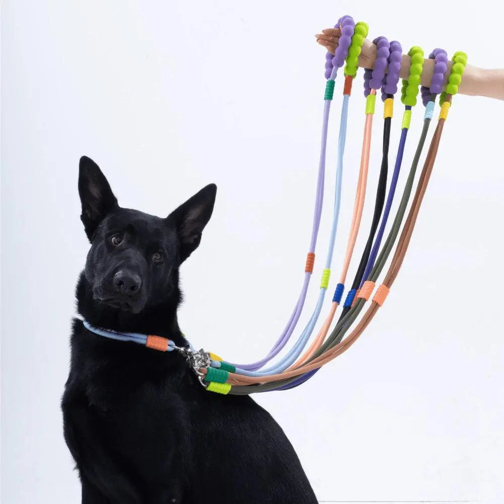 #Color_Grape Purple Leash Set