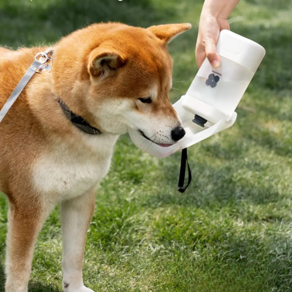 Portable Water Bottle - UNIPATS