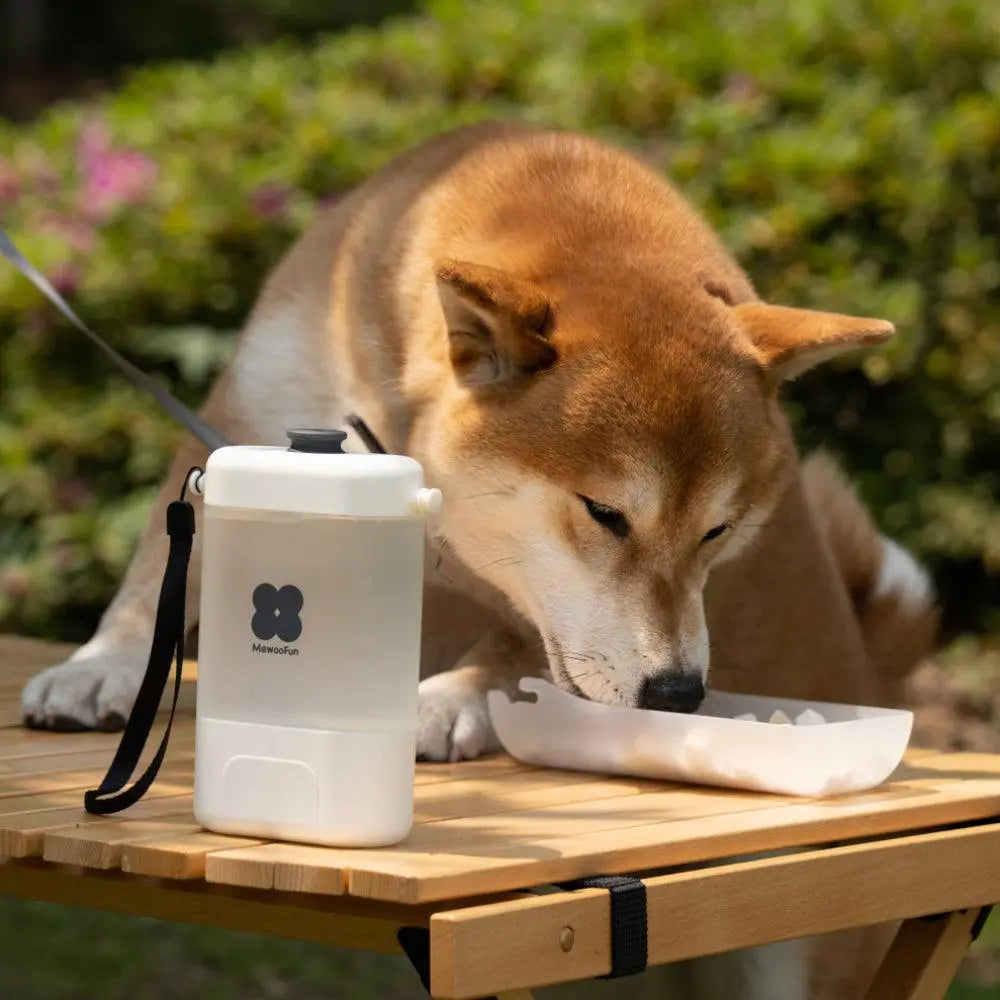 Portable Water Bottle - UNIPATS