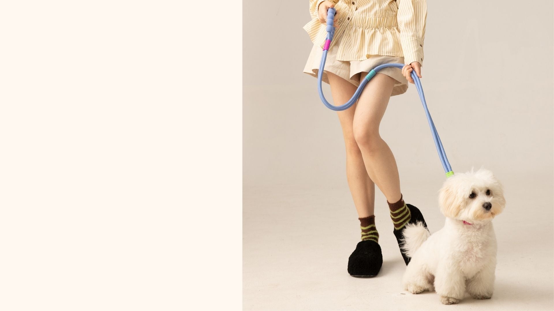 Young woman walking small dog with UNIPATS colorful dog leash and umbrella in a bright studio scene1621243260e1af0c20-0